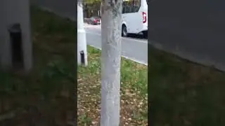 Автобус номер 937 маршрут 10,1
