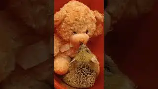 🧸Получите милый "кусь"