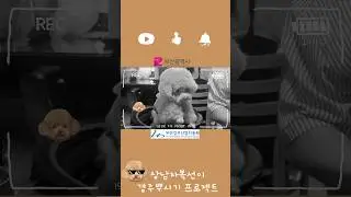 경주 뿌신 복떠니 part.1🐶