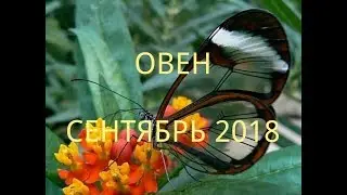 ОВЕН - ТАРО ПРОГНОЗ НА СЕНТЯБРЬ 2018 года