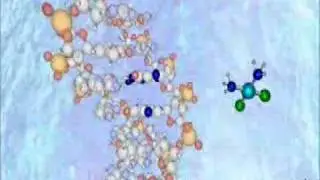 CisPlatin: Mechanism of Action (Old - SD)