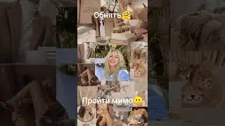 описание спёрли