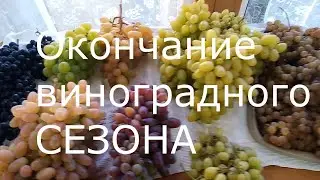 Окончание виноградного сезона