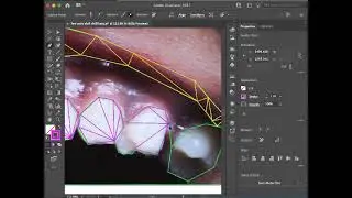Creating low-poly art in illustrator (tracing method)
