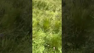 Как по кайфу