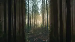 What It Sounds Like
