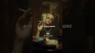 Цитаты 