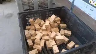 Supercut 300 Mancini optimizing saw-ottimizzatrice