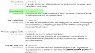 Moodle Theme Settings Page