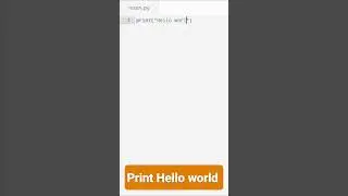Hello world program in python. 