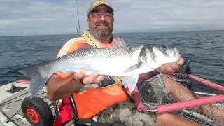 Les Bouks en kayak