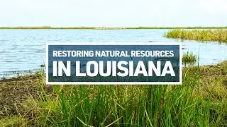 Restoring Natural Resources in Louisiana