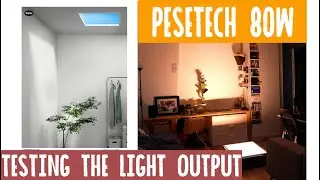 TESTING PESETECH 80W SKYLIGHT light output