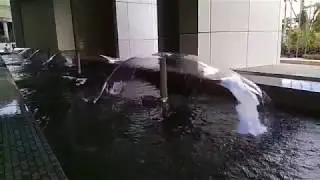 Amazing Fountain - EC Building Bangladesh - Slow Motion 120FPS