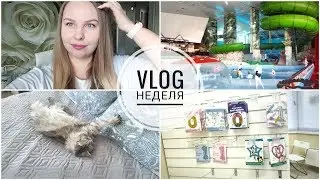 #ВЛОГНЕДЕЛЯ