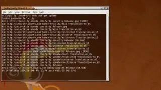 Linux Ubuntu Terminal Update Upgrade