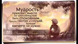 Мудрые советы!!!