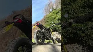 Triumph Scrambler 400x Exhaust Sound