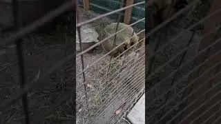 Парк в Харькове(2)