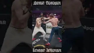 Knockdown Top Dog Prospect 17 - Денис Погодин vs Валера Заботин #TopDog #prospect #knocked