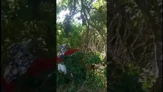 SIPAG LANG KAILANGAN SA PAMUMUHAY