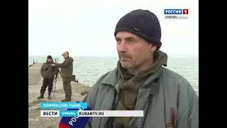 Перелётные птицы на море - 2016