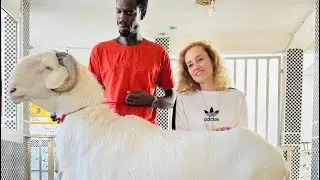 SEN EMISSION FIMA JAAR INVITÉ BERG KHADIJA 77 699 82 74