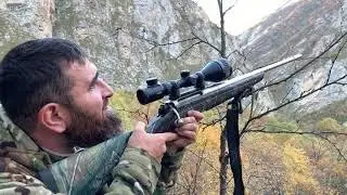 Охота на тура для начинающих охотников