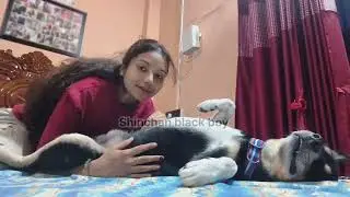 Me and My Dog Shinchan Having Fun 🐶 | Happy and Funny Moments 😄