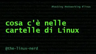 GNU/Linux: cosa c'è nelle cartelle di Linux