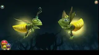First Random Video with OBS
