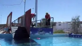 Dock Dog Practice with Louis