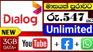 Dialog Unlimited Package | 2024