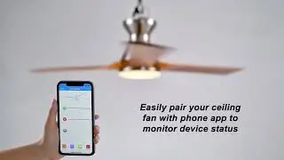 CEME Flush Mount Smart Ceiling Fan can be used indoors&outdoors#furniture #appliances #ceilingfan