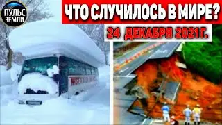 Катаклизмы за день 24 ДЕКАБРЯ 2021! Пульс Земли! в мире событие дня 
