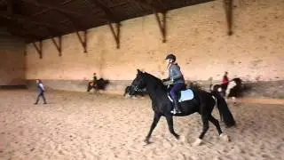 cours avec jog trot