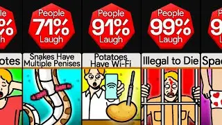 Comparison: Facts That Will Make You Laugh