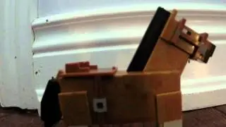 The 
