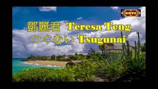 つぐない Tsugunai - 鄧麗君 Teresa Teng Karaoke