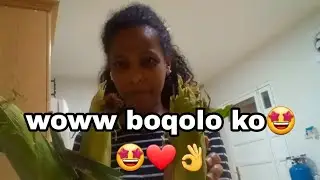 nagan waqayyoo sifi haa bayatu jiraa jirtu qaliwani ko kotaa nyanadha boqolo🥰