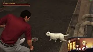 Yakuza 6: The Song of Life: The fabled Mr. Kitty spawn finally happening after two real time years.