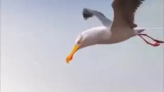 Сила в единстве!