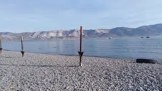 8 ноября 2019 года