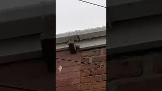 Defective rainwater goods