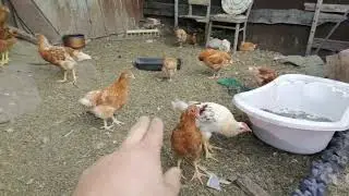 Обзор за прошлый год.
