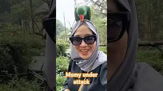 Bird nya loves mami 😂 #animals #zoo #birds #funnymoments