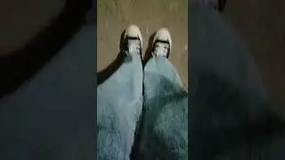 Hallo temen2, gimana kabarnya kalian 