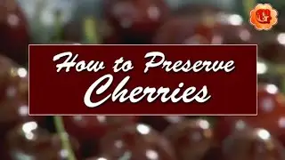 Cherries: How to Preserve Cherries