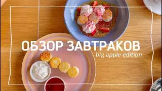 Как выбрать из всего многообразия|Big Apple