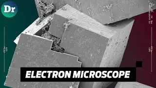 HOW DOES THE ELECTRON MICROSCOPE WORK?